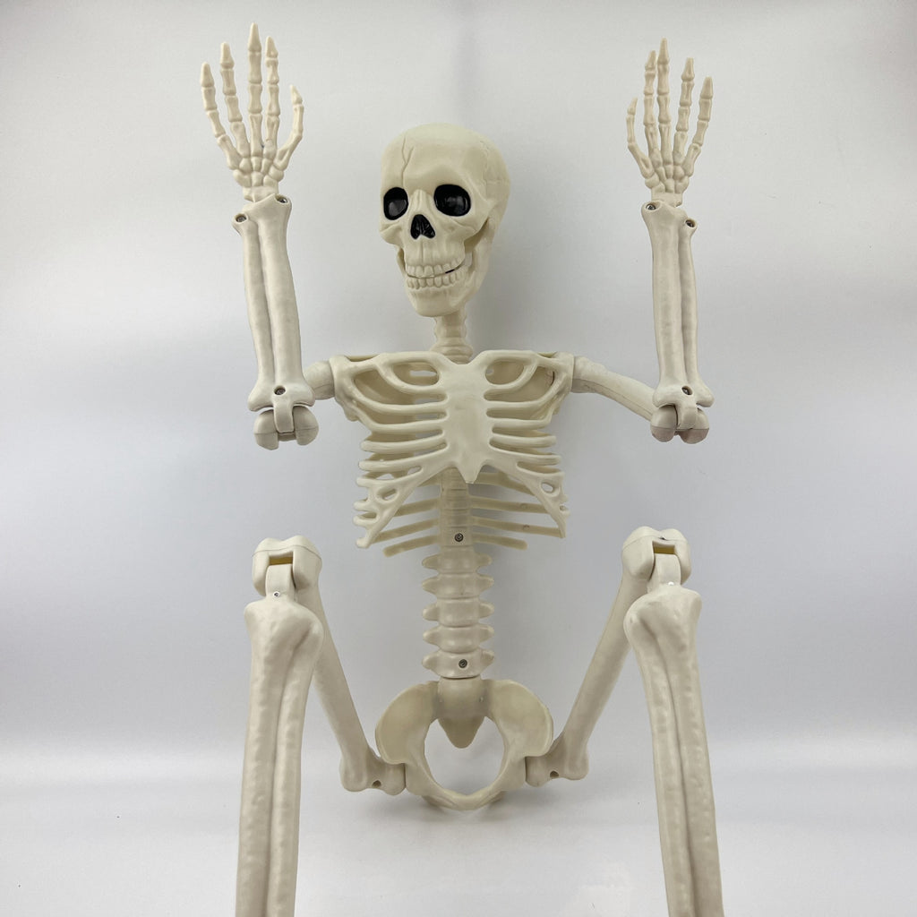 Skhek 40cm Halloween Human Skeleton Fake Human Skull Bones Halloween Party Home Bar Decorations Haunted House Horror Props Ornament