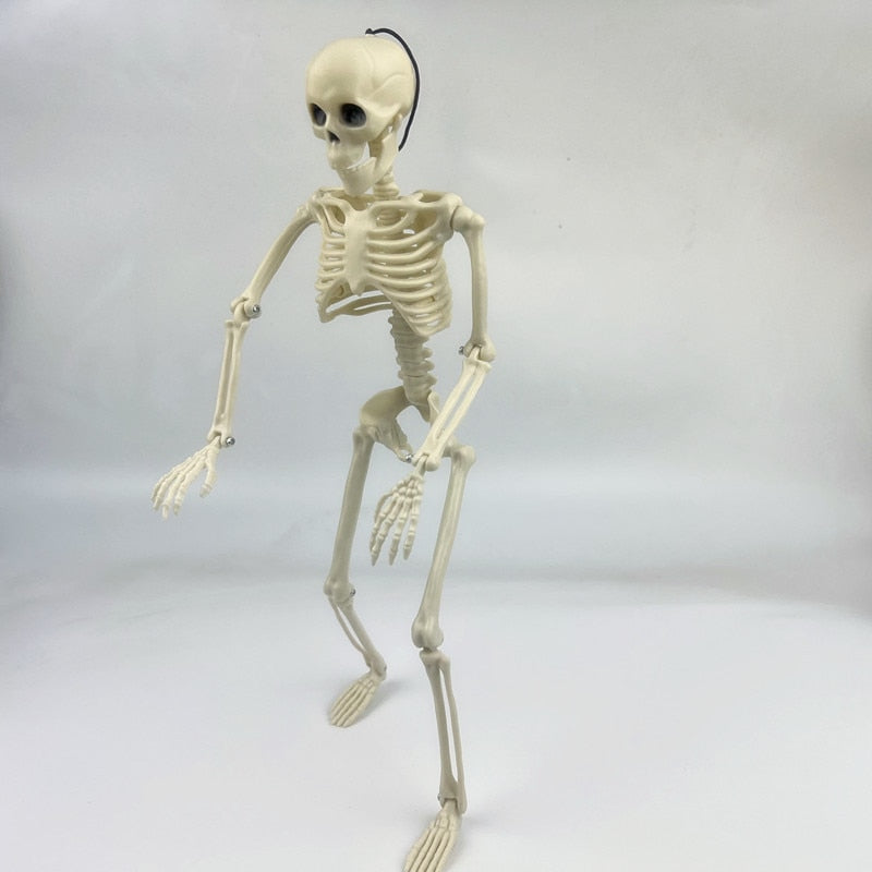 Skhek 40cm Halloween Human Skeleton Fake Human Skull Bones Halloween Party Home Bar Decorations Haunted House Horror Props Ornament