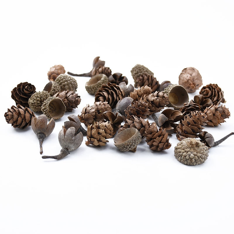 Skhek 50PCS MINI Lovely Natural Dried Flowers Pinecone Series Christmas Decorations for Home Diy Gifts Box Artificial Plants Wholesale