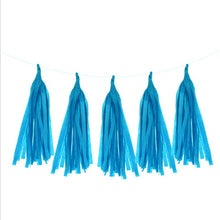 Load image into Gallery viewer, Skhek Graduation Party Tissue Paper Tassels Birthday Party Decoration Hanging Garland Ribbon Curtain Baby Shower Decor Parti  Celebration Supplies