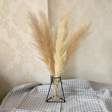 Load image into Gallery viewer, 55cm Pampas Grass Decor Extra Large Natural Dried Flowers Bouquet Wedding Flowers Vintage Style for Home Valentine&#39;s Day Gift