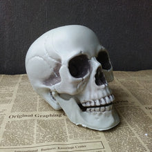 Load image into Gallery viewer, SKHEK Halloween Statues Sculptures Halloween Decorations Artificial Skull Head Model Plastic Skull Bone Scary Horror Skeleton Party Bar Ornament