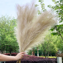 Load image into Gallery viewer, 1pc 120cm Artificial Pampas Grass Bouquet Vase Wedding Party Home Garden Decoration Plant Real Touch Fake Flower Reed Christmas
