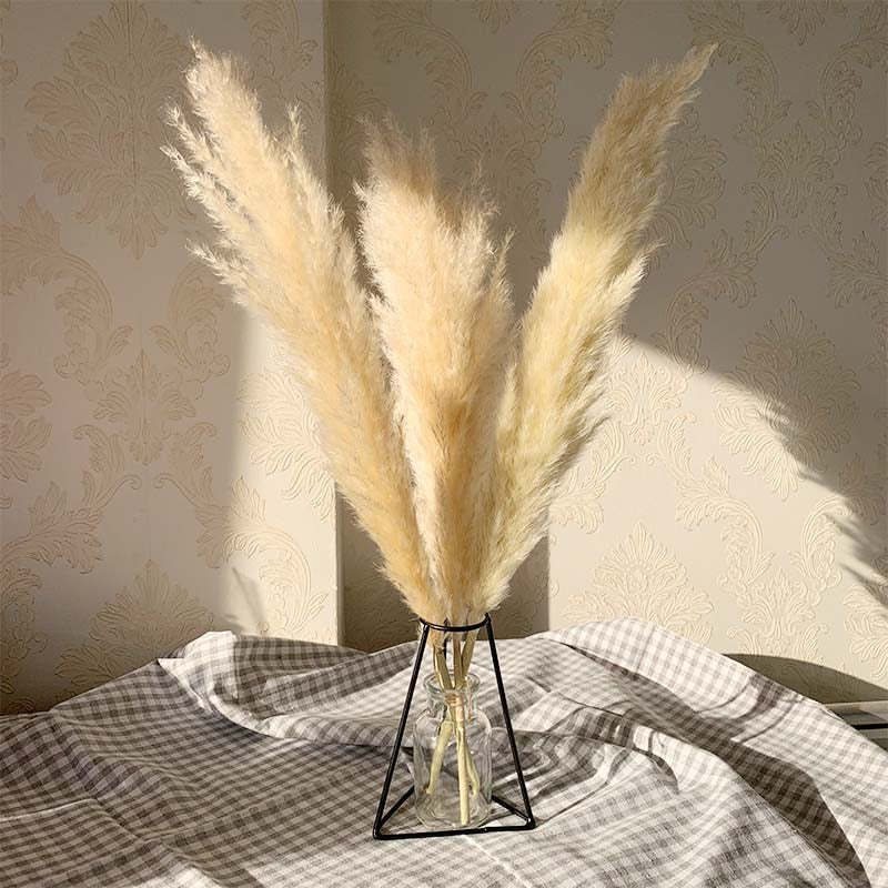 55cm Pampas Grass Decor Extra Large Natural Dried Flowers Bouquet Wedding Flowers Vintage Style for Home Valentine's Day Gift