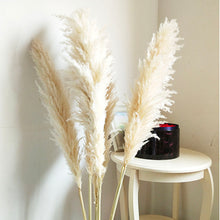 Load image into Gallery viewer, 85-120cm Pampas Grass Extra Large Natural White Dried Flowers Bouquet Fluffy for Boho Vintage Style Home Wedding Flowers Decor