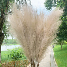 Load image into Gallery viewer, 5Pcs 100cm Artificial Pampas Grass Bouquet DIY Vase New Year Holiday Wedding Party Home Decoration Plant Simulation Flower Reed