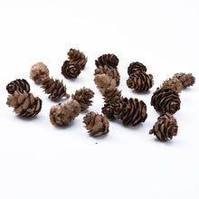 Load image into Gallery viewer, Skhek 50PCS MINI Lovely Natural Dried Flowers Pinecone Series Christmas Decorations for Home Diy Gifts Box Artificial Plants Wholesale