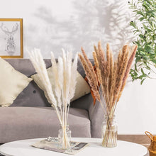 Load image into Gallery viewer, Dekoration 15Pcs Free Shipping Dried Pampas Grass Decor Wedding Flower Bunch Natural Plants for Home Christmas Decorations