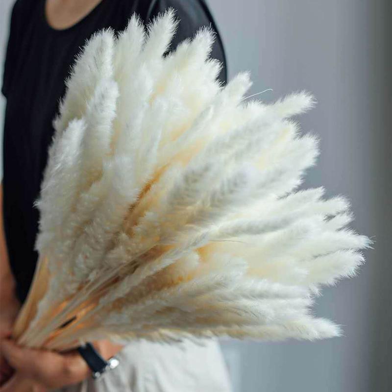 Dekoration 15Pcs Free Shipping Dried Pampas Grass Decor Wedding Flower Bunch Natural Plants for Home Christmas Decorations