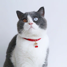 Load image into Gallery viewer, Christmas bell pendant Dog Cat accessories Dog Cat collar  Cat toy Dog costume Pet furniture Cat supplies coleira gato pet