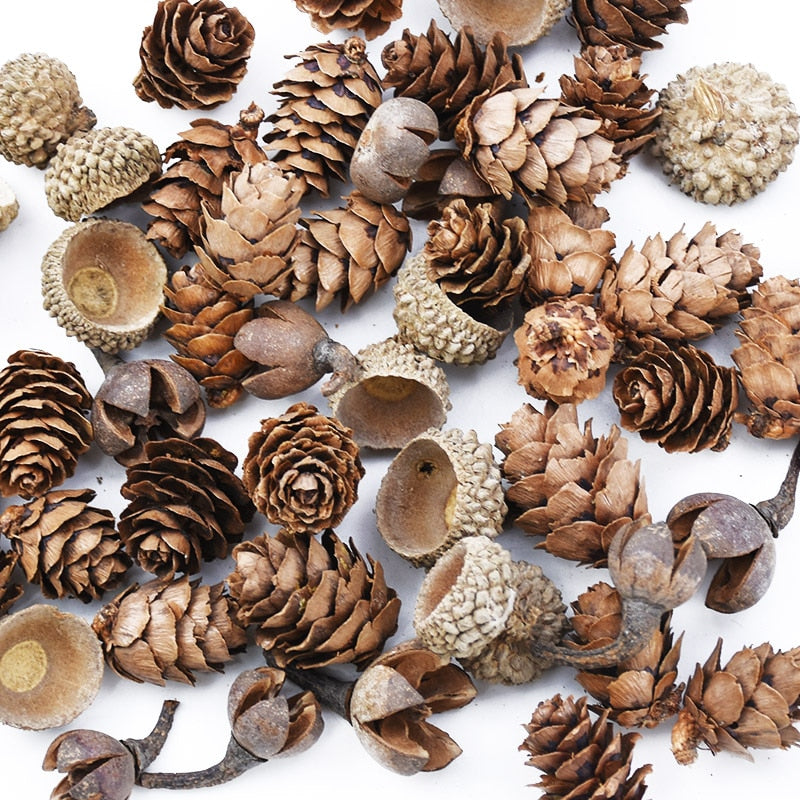 Skhek 50PCS MINI Lovely Natural Dried Flowers Pinecone Series Christmas Decorations for Home Diy Gifts Box Artificial Plants Wholesale