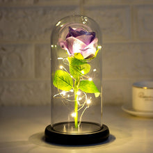 Load image into Gallery viewer, Valentines Day Eternal Rose Flower Beauty Beast Rose galaxy rose In A Glass Dome LED Lamps Wedding Christmas Gift Home Decor