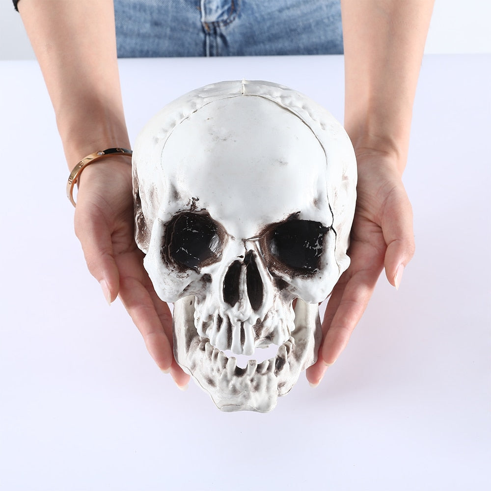 SKHEK All Size Artificial Skull Skeleton Halloween Decoration Scary Horror Props Hanging Skull High Quality Model Sculpture Skull Head