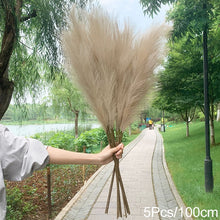 Load image into Gallery viewer, Skhek 5Pcs 100/70cm Artificial Pampas Grass Bouquet New Year Holiday Wedding Party Home Decoration Plant Simulation Dried Flower Reed