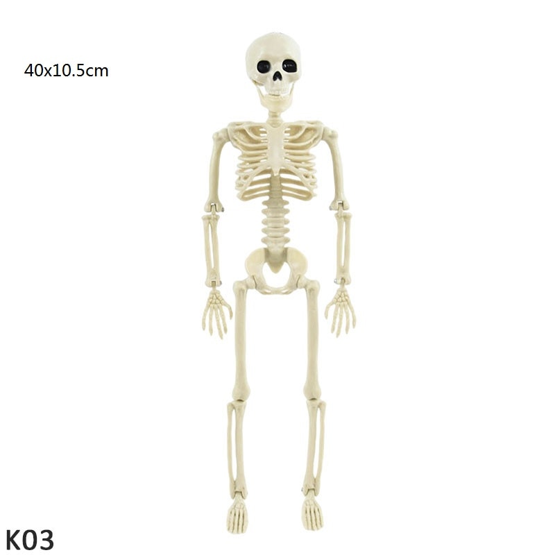 SKHEK Halloween Decorations Full Body Skeleton Ornaments Halloween Skeleton With Movable Joints For Halloween Party Home Decoration
