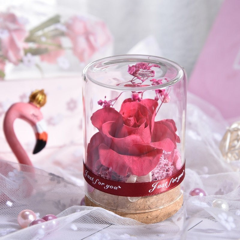 Skhek  Eternal Rose Real Flower Valentine's Day Dried Flower Rose Beauty And The Beast Led Eternal Rose In Glass Mothers Day Gift Rose