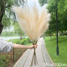 Load image into Gallery viewer, Skhek 5Pcs 100/70cm Artificial Pampas Grass Bouquet New Year Holiday Wedding Party Home Decoration Plant Simulation Dried Flower Reed