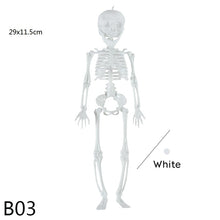 Load image into Gallery viewer, SKHEK Halloween Decorations Full Body Skeleton Ornaments Halloween Skeleton With Movable Joints For Halloween Party Home Decoration
