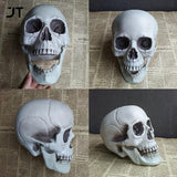 SKHEK Halloween Statues Sculptures Halloween Decorations Artificial Skull Head Model Plastic Skull Bone Scary Horror Skeleton Party Bar Ornament