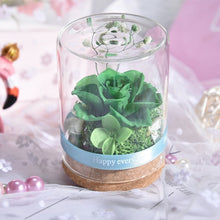 Load image into Gallery viewer, Skhek  Eternal Rose Real Flower Valentine&#39;s Day Dried Flower Rose Beauty And The Beast Led Eternal Rose In Glass Mothers Day Gift Rose