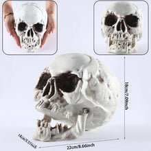 Load image into Gallery viewer, SKHEK All Size Artificial Skull Skeleton Halloween Decoration Scary Horror Props Hanging Skull High Quality Model Sculpture Skull Head