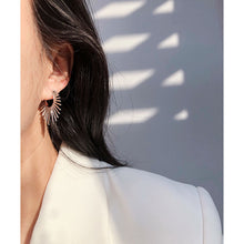 Load image into Gallery viewer, SKHEK European And American Metal Fan-Shaped Geometric Irregular Hoop Earrings For Women Girls Travel Jewelry Hip-Hop Exaggeration